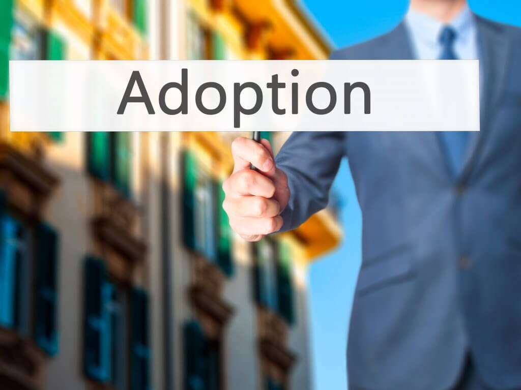 Guardianship Attorney and Adoption